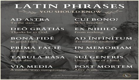 A Profile Of A Latin Beauty