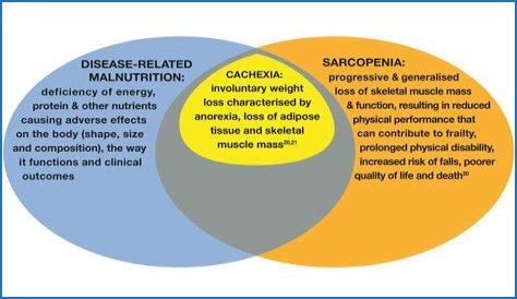 Does malnutrition cause cancer?