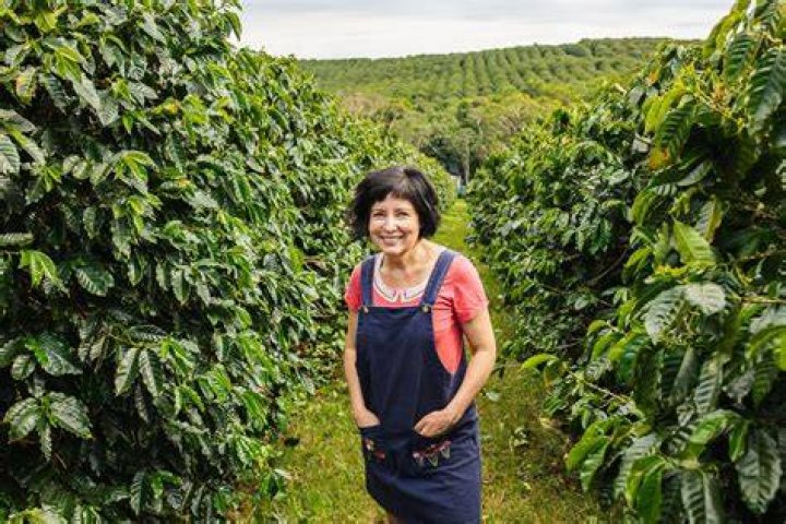 Can I grow coffee in Australia