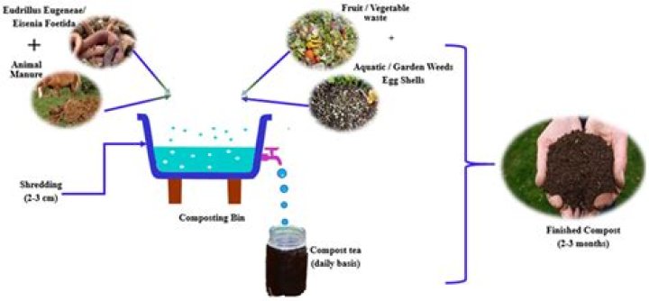 Can you put compost in houseplants