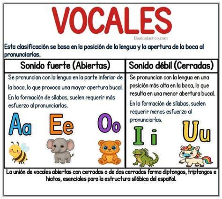 ¿Cuáles son las vocales breves