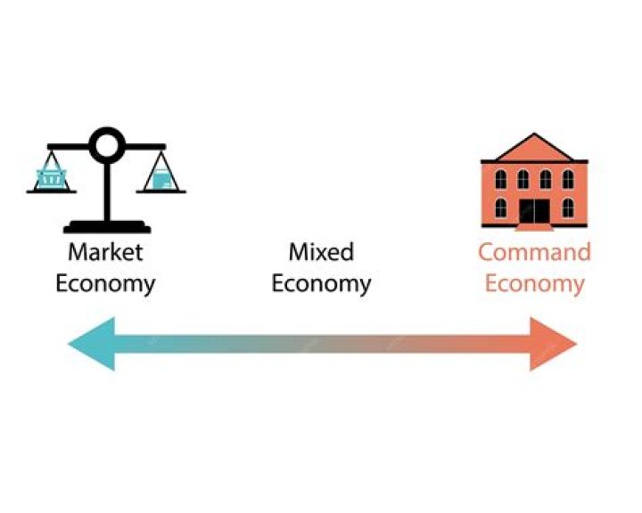 Does government regulate producers in a mixed market economy