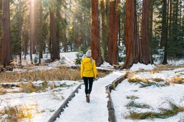 Does it snow in Sequoia National Park in December