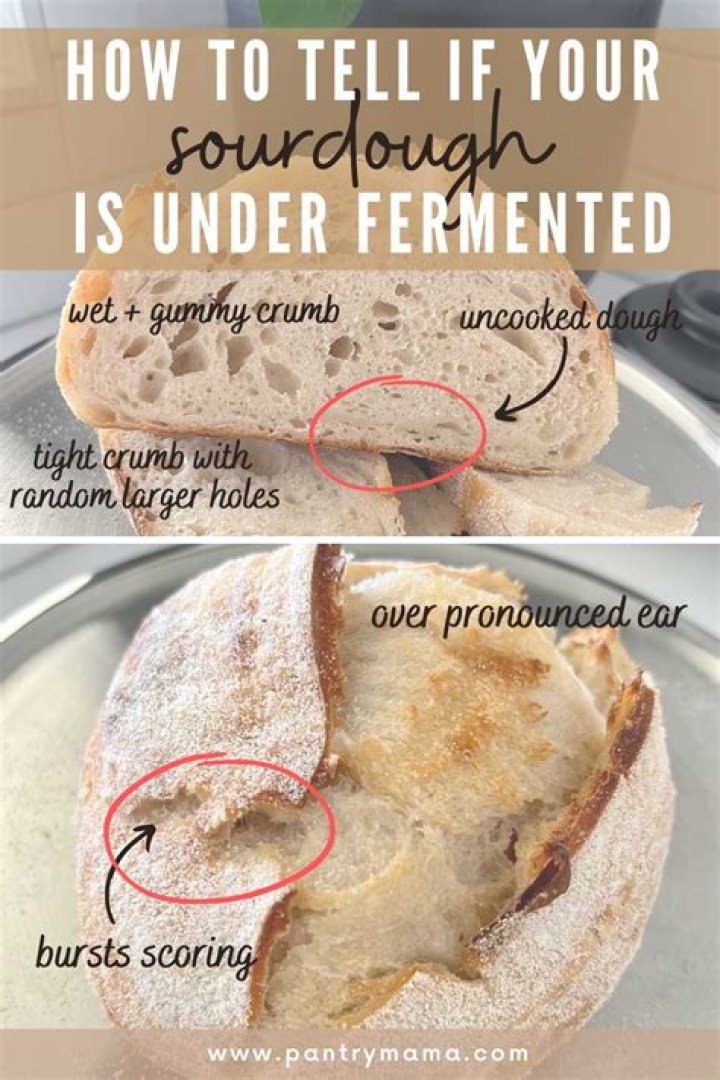 How can you tell if sourdough bread is real