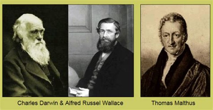How did Malthus influence the thinking of Darwin and Wallace