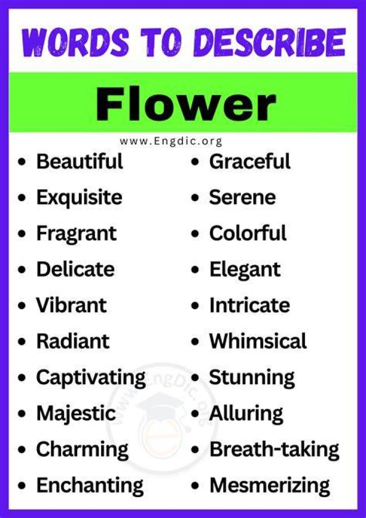 How do you describe a beautiful flower