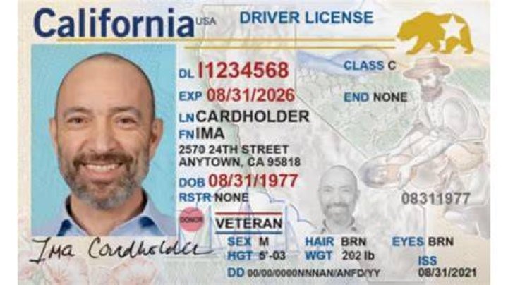 How do you get a bail license in California