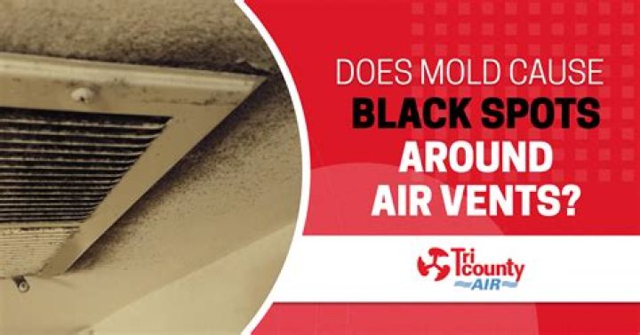 How do you get rid of black mold in air ducts