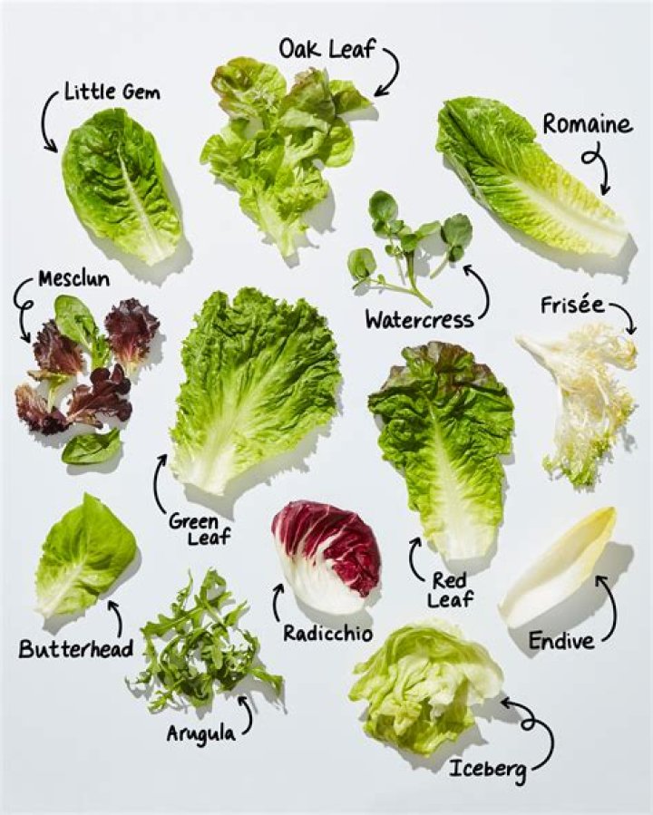 How do you store lettuce in the refrigerator