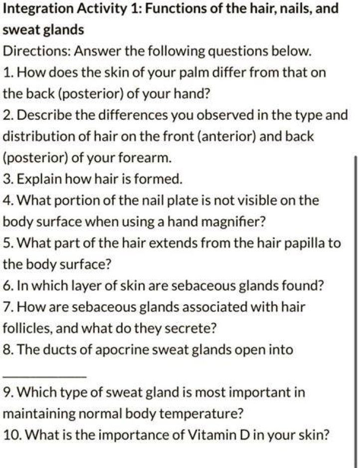 How does the skin of your palm differ