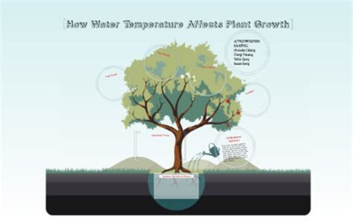 How does water temperature affect plant growth