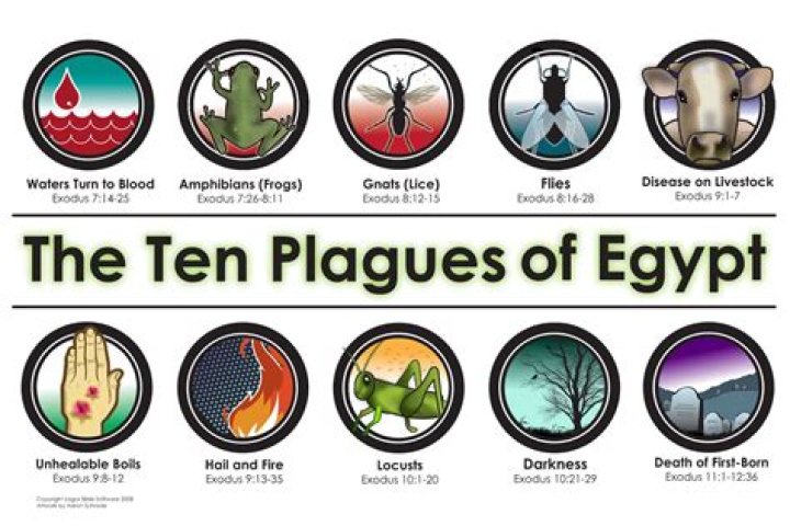 How long did the 10 plagues of Egypt take