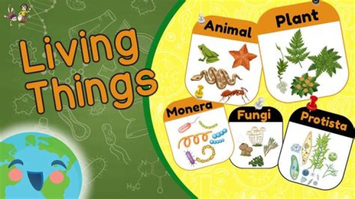 How many atoms are in every living thing