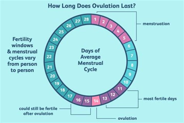 How many days after period do you ovulate