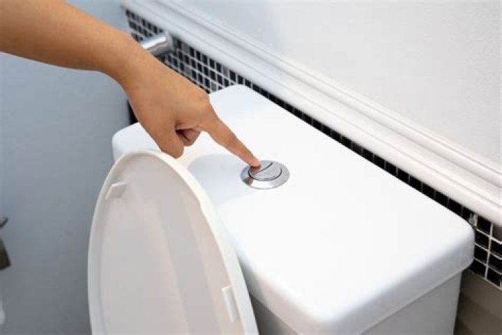 How many gallons do you use when you flush the toilet