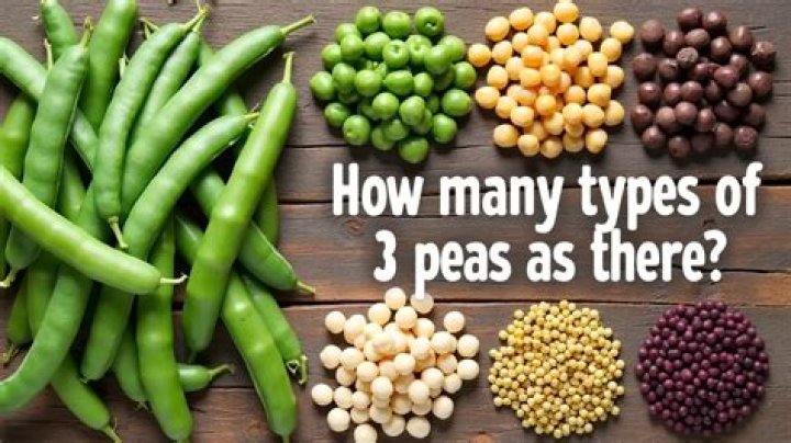 How many types of peas are there
