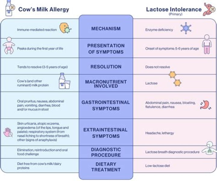 How much lactose is in dairy products