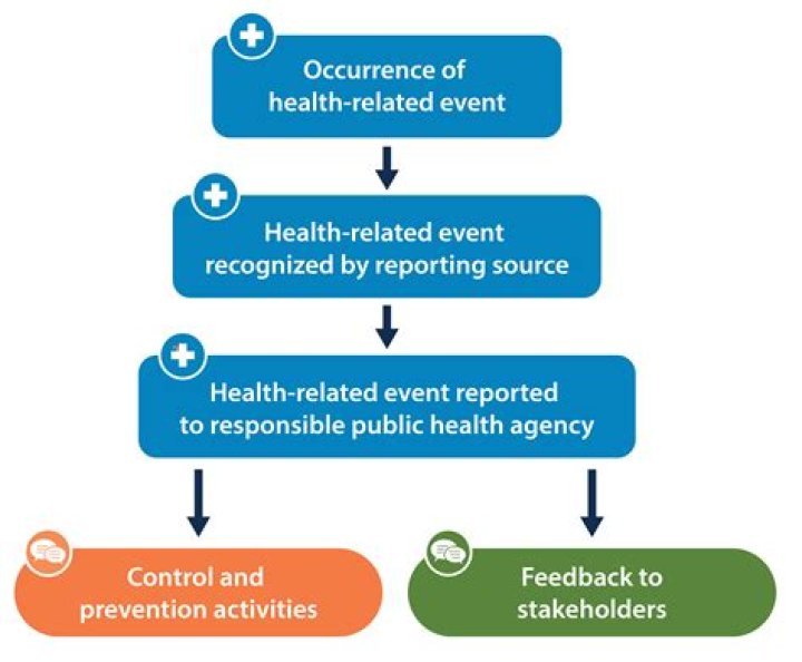 How often should health surveillance be carried out