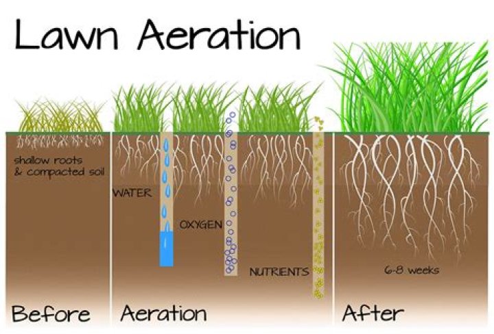 Should I water my lawn after aeration