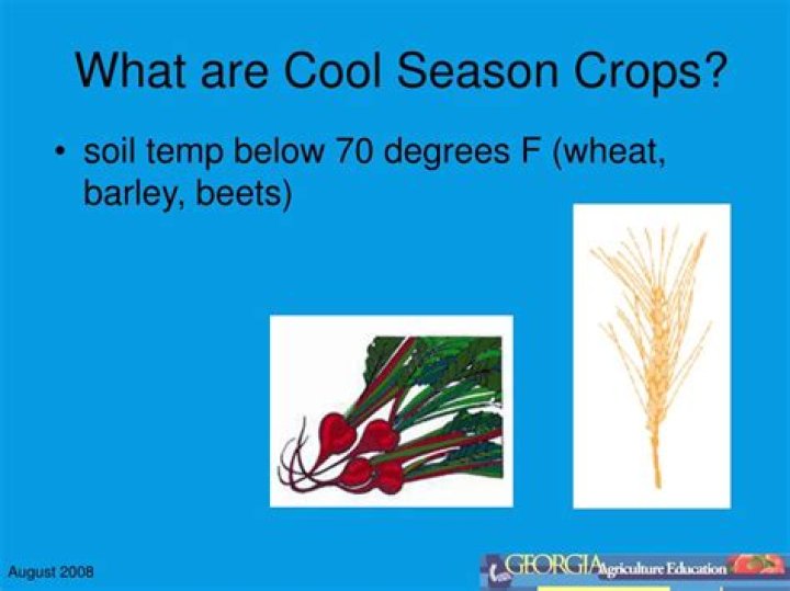 What are cool season crops