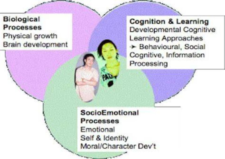 What are some examples of Biosocial development