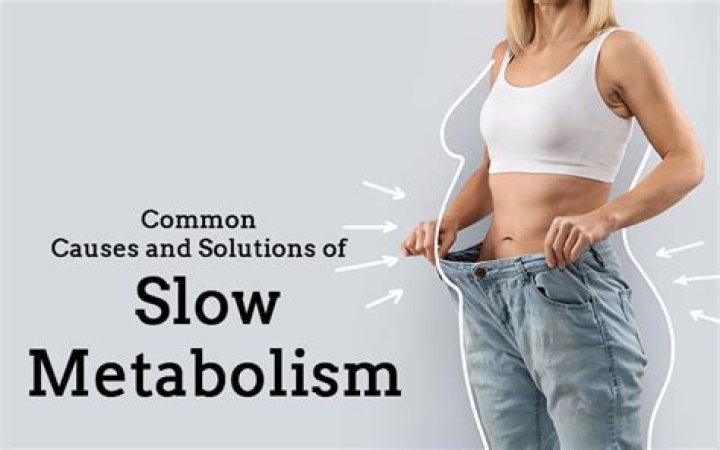 What are the effects of slow metabolism