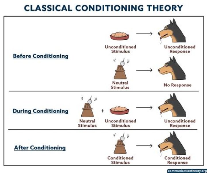 What are the steps in classical conditioning