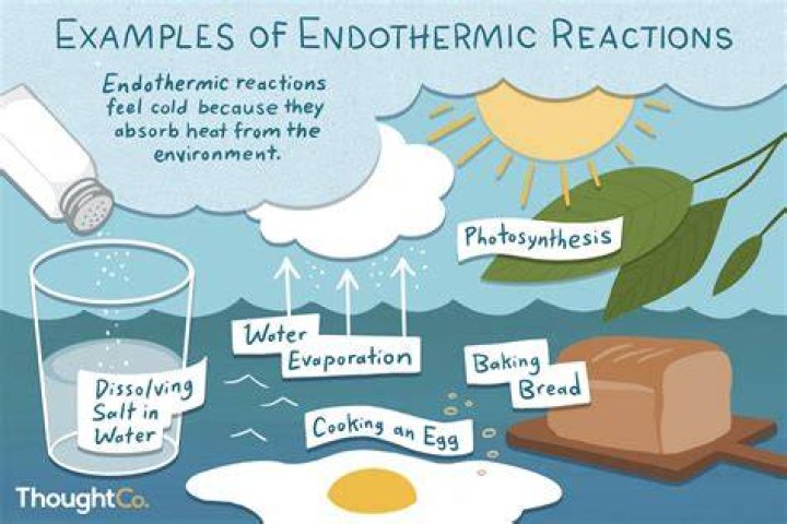 What are three examples of endothermic reactions