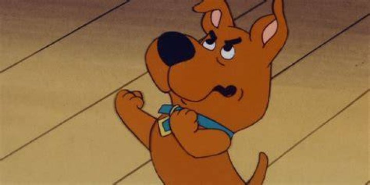 What breed of dog is Scrappy Doo