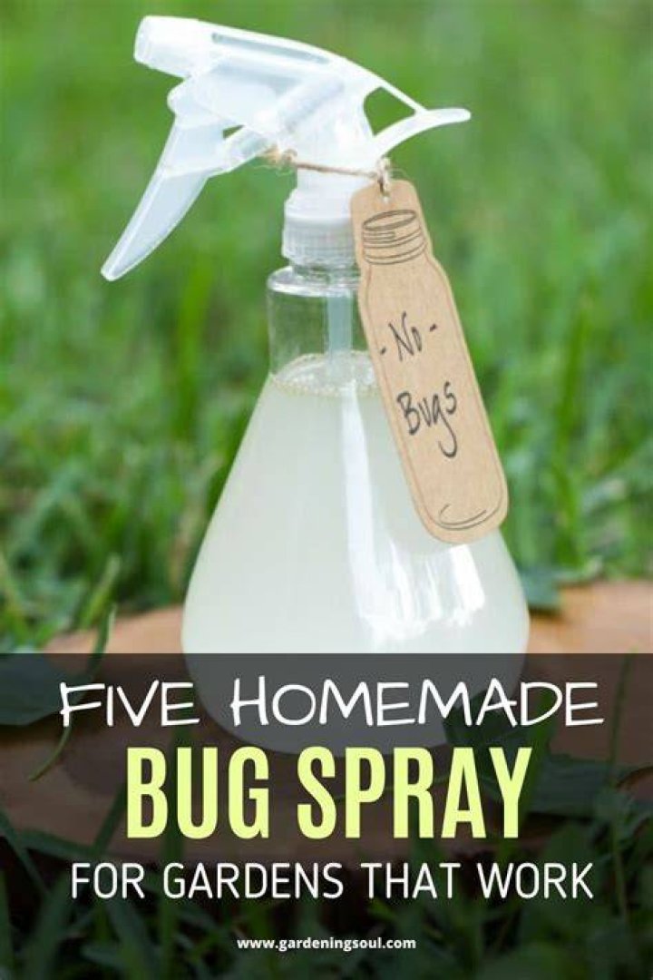 What can you spray on screens to keep bugs away