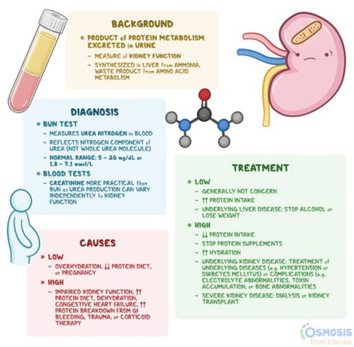 What causes high levels of toxins in the blood