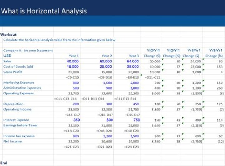 What does horizontal analysis mean