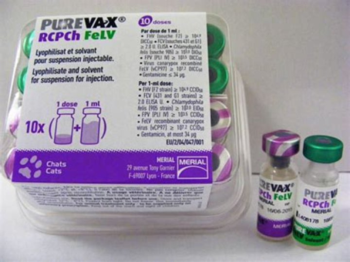 What does purevax RCP FeLV cover