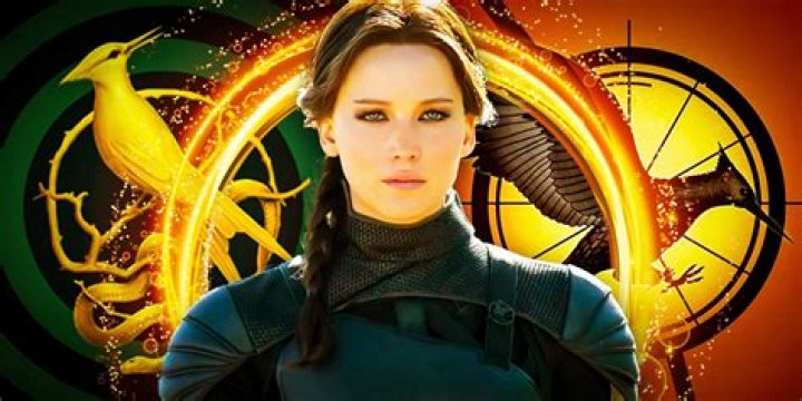 What does the pin mean in The Hunger Games