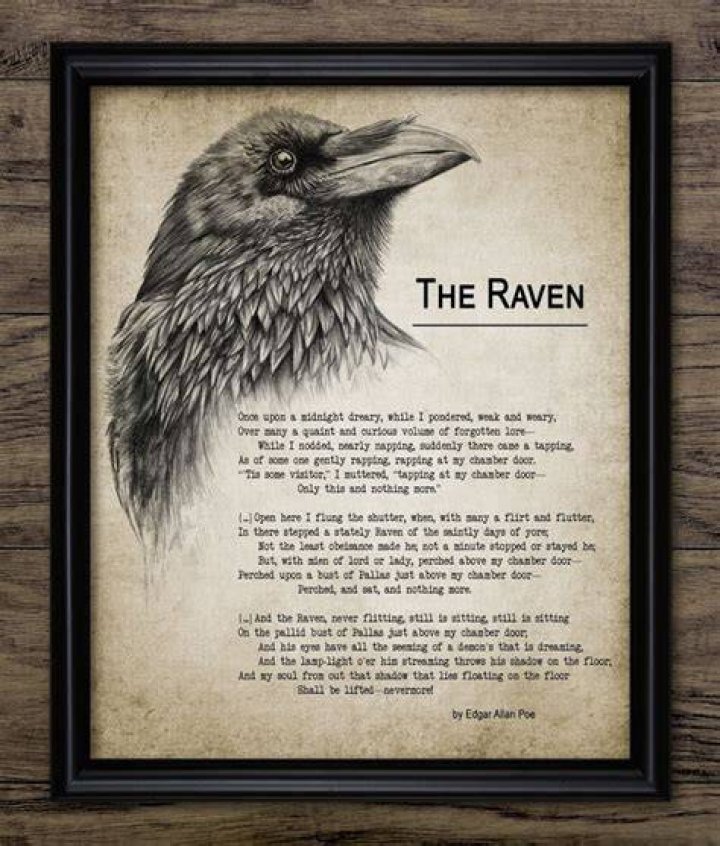 What does the word nevermore mean in the raven