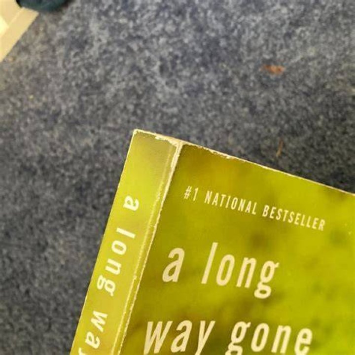 What happens in the book A Long Way Gone