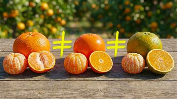 What is a cross between a tangerine and a grapefruit