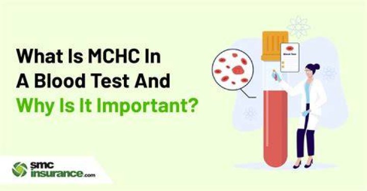 What is MCH and MCHC in blood work
