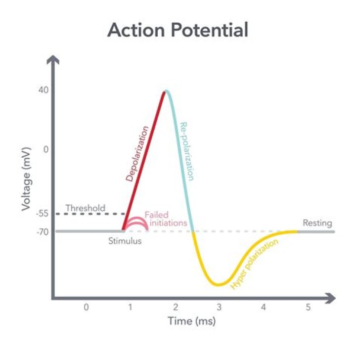 What is the action of AHG reagent
