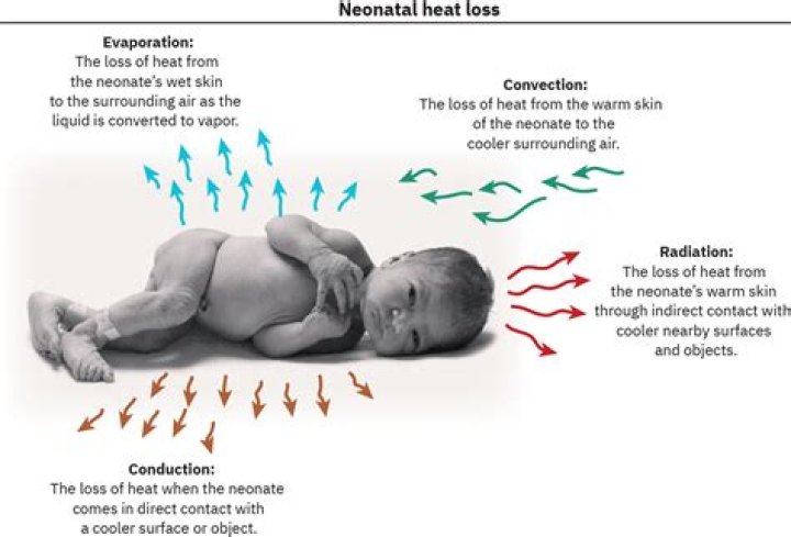 What is the basic mechanism for heat generation in newborns quizlet
