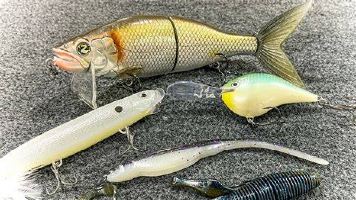 What is the best bait to catch trout in a lake