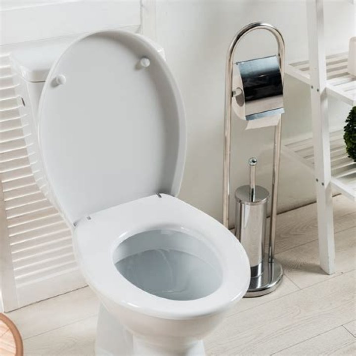 What is the best toilet seal