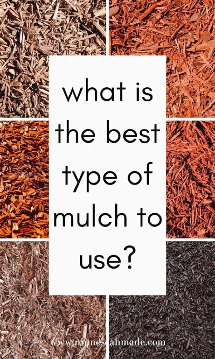 What is the best type of mulch to use