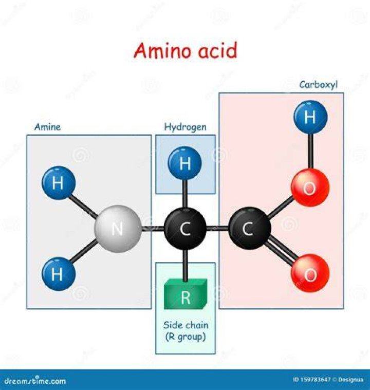 What is the chemical structure of an amino acid