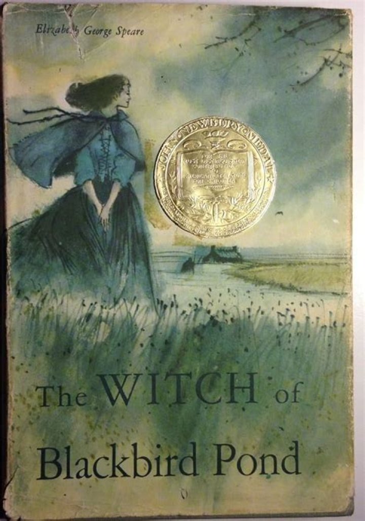 What is the climax of The Witch of Blackbird Pond