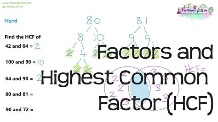 What is the highest common factor of 50