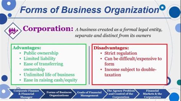 What is the most common form of business organization in the United States