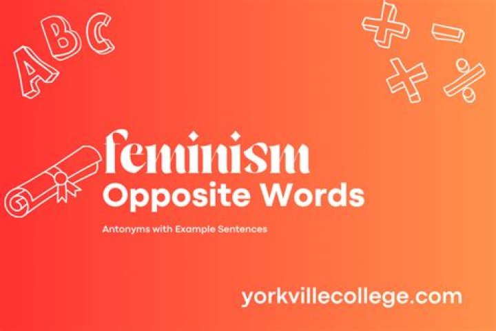 What is the opposite of feminism