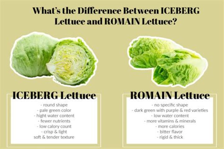 What is the origin of lettuce