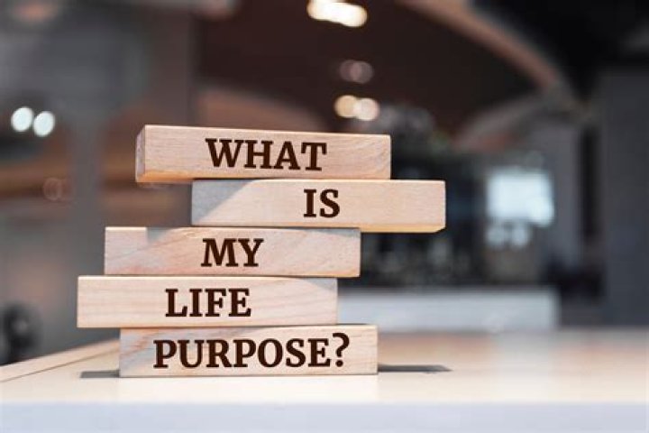 What is the purpose of an SLO